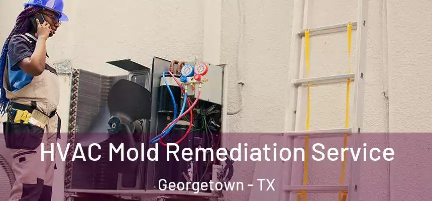 HVAC Mold Remediation Service Georgetown - TX