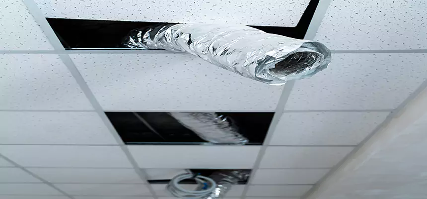 Our Air Duct Pet Hair Removal Services in Georgetown, TX