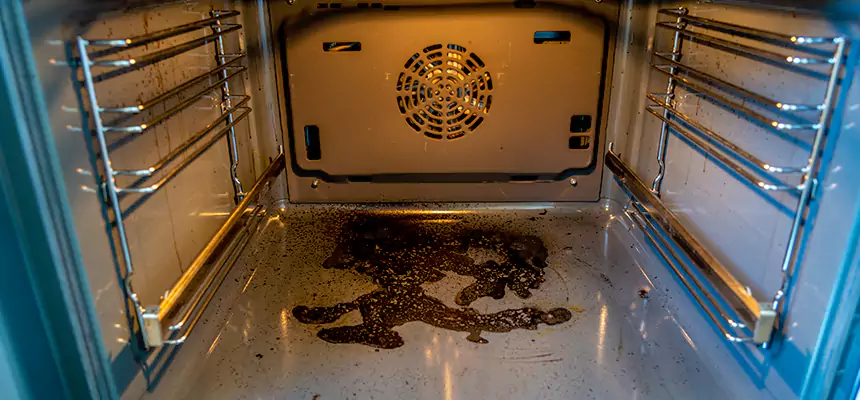 Our Dryer Vent Mold Cleaning Services in Georgetown, TX