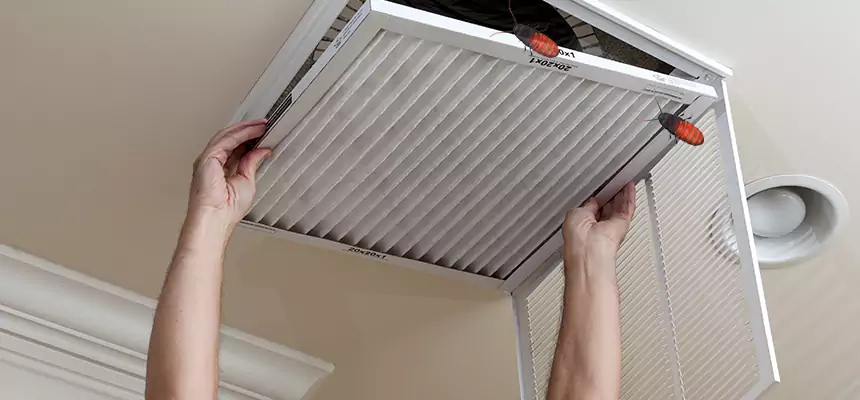 Our Insect Removal from Air Ducts Services in Georgetown, TX