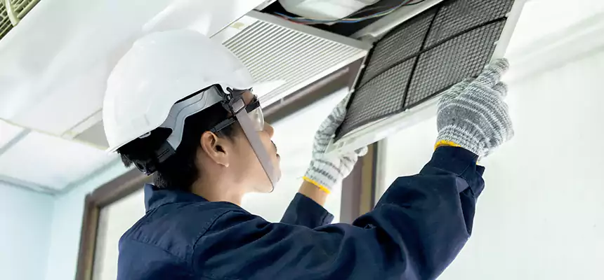 Our Mold & Mildew Removal from Air Ducts Services in Georgetown, TX