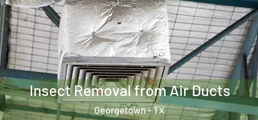  Insect Removal from Air Ducts Georgetown - TX