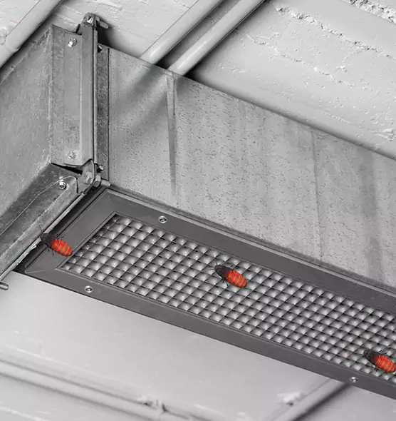 About Air Duct Cockroach Removal in Georgetown, TX