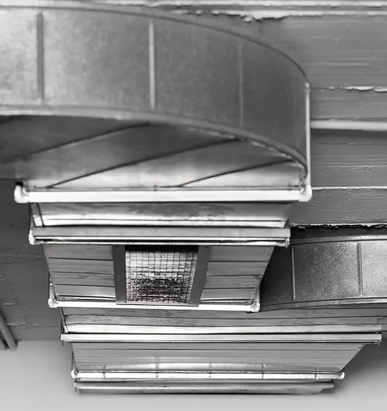 Professional Air Duct Pest Removal in Georgetown, TX