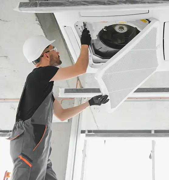 About Air Duct Rodent Removal in Georgetown, TX