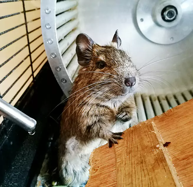 Why Homeowners & Businesses Trust Us Georgetown, TX?