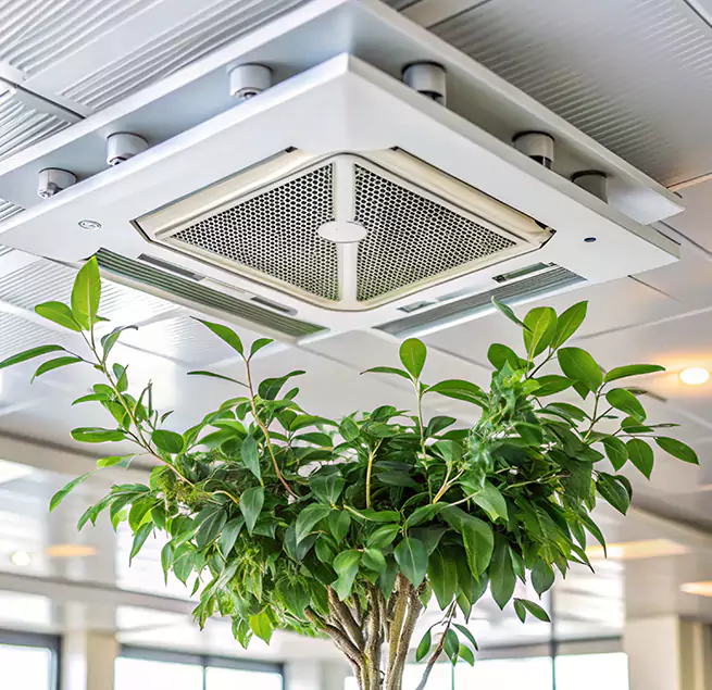 Why Homeowners & Businesses Trust Us in Georgetown, TX