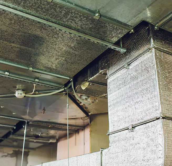 Why Homeowners & Businesses Trust Us in Georgetown, TX?