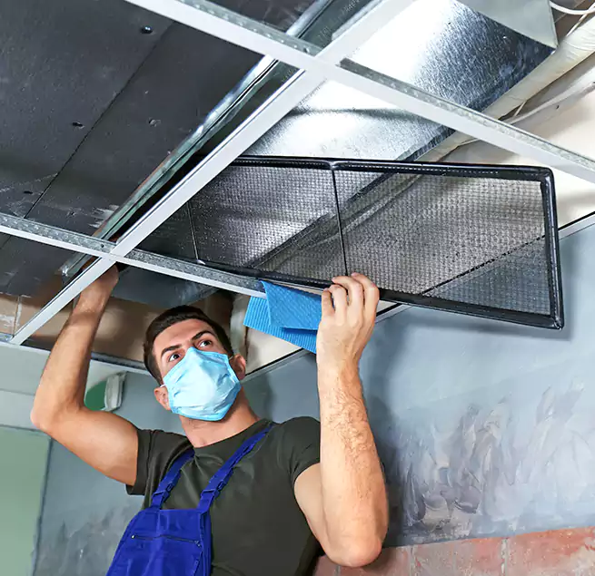 Why Homeowners Businesses Trust Us in Georgetown, TX